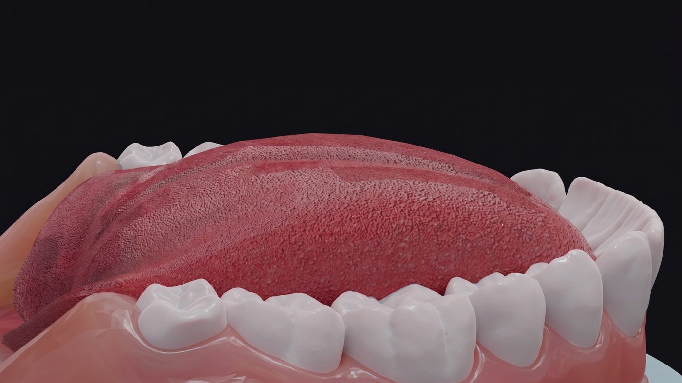 Close-up of the tongue surface texture against the lower teeth