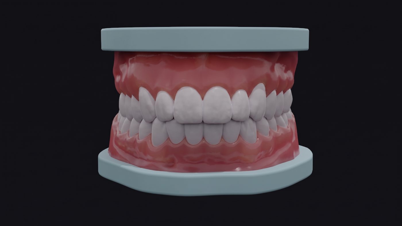 Hyperrealistic tactile mouth model, front view, showing anatomically accurate teeth and gums